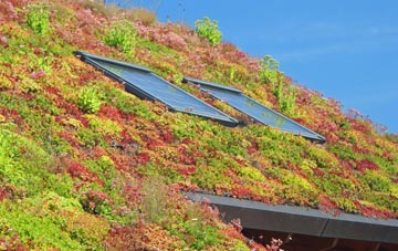 Creeting St Mary living roof systems