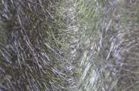 Creeting St Mary fibreglass roof work
